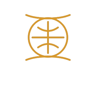 EagleStudio tuotanto ikoni